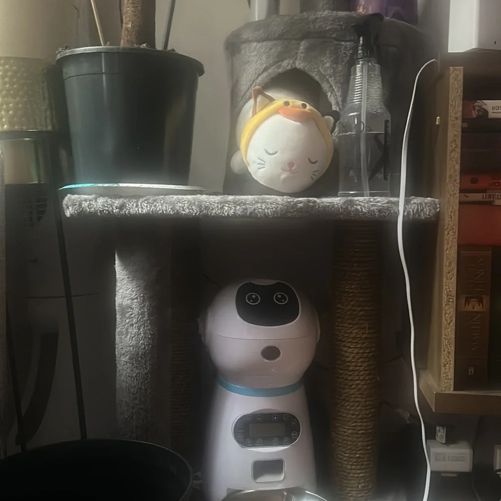 Cat scratcher/plant stand